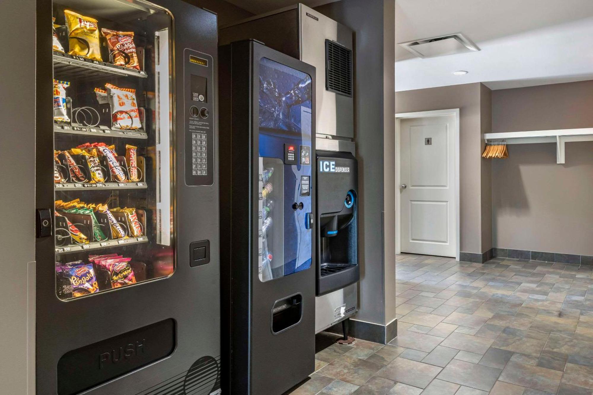 Quality Inn & Suites Quispamsis Rothesay Zewnętrze zdjęcie